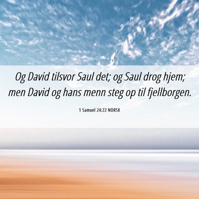 Picture 06 - 1 Samuel 24:22 NORSK - Og David tilsvor Saul det; og Saul drog hjem; men - Bible Verse Picture