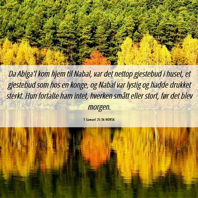 Picture 06 - 1 Samuel 25:36 NORSK - Da Abiga'l kom hjem til Nabal, var det nettop - Bible Verse Picture