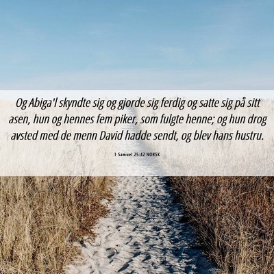 Picture 06 - 1 Samuel 25:42 NORSK - Og Abiga'l skyndte sig og gjorde sig ferdig og - Bible Verse Picture