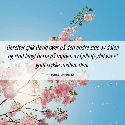 Picture 06 - 1 Samuel 26:13 NORSK - Derefter gikk David over på den andre side av - Bible Verse Picture