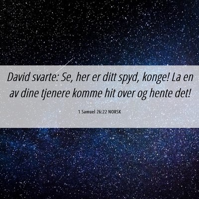 Picture 06 - 1 Samuel 26:22 NORSK - David svarte: Se, her er ditt spyd, konge! La en - Bible Verse Picture