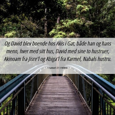 Picture 06 - 1 Samuel 27:3 NORSK - Og David blev boende hos Akis i Gat, både han og - Bible Verse Picture