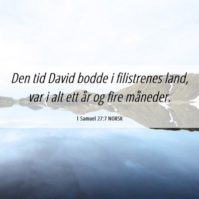 Picture 06 - 1 Samuel 27:7 NORSK - Den tid David bodde i filistrenes land, var i alt - Bible Verse Picture