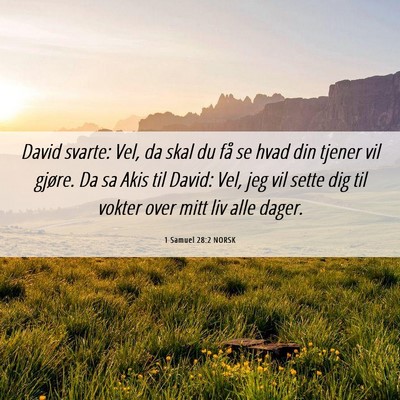 Picture 06 - 1 Samuel 28:2 NORSK - David svarte: Vel, da skal du få se hvad din - Bible Verse Picture
