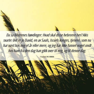 Picture 06 - 1 Samuel 29:3 NORSK - Da sa filistrenes høvdinger: Hvad skal disse - Bible Verse Picture