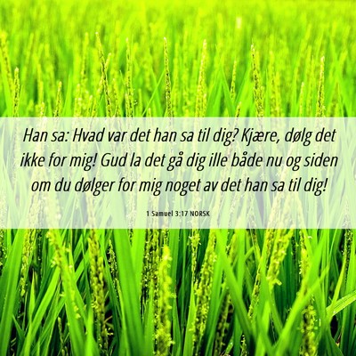 Picture 06 - 1 Samuel 3:17 NORSK - Han sa: Hvad var det han sa til dig? Kjære, - Bible Verse Picture