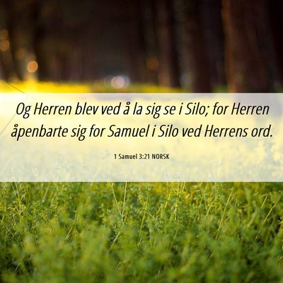 Picture 06 - 1 Samuel 3:21 NORSK - Og Herren blev ved å la sig se i Silo; for - Bible Verse Picture