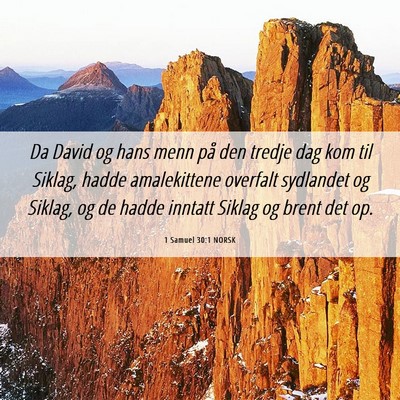 Picture 06 - 1 Samuel 30:1 NORSK - Da David og hans menn på den tredje dag kom til - Bible Verse Picture