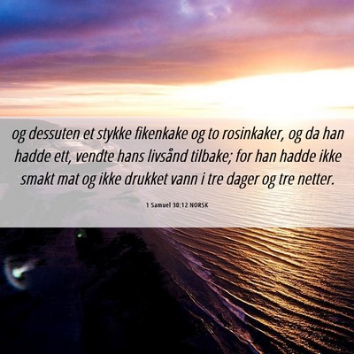 Picture 06 - 1 Samuel 30:12 NORSK - og dessuten et stykke fikenkake og to rosinkaker, - Bible Verse Picture
