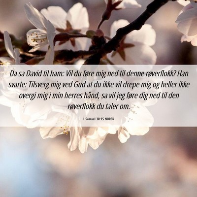 Picture 06 - 1 Samuel 30:15 NORSK - Da sa David til ham: Vil du føre mig ned til - Bible Verse Picture