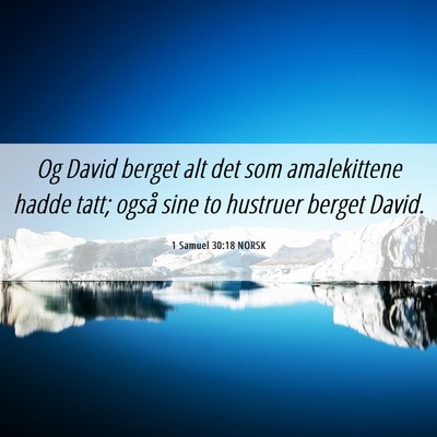 Picture 06 - 1 Samuel 30:18 NORSK - Og David berget alt det som amalekittene hadde - Bible Verse Picture