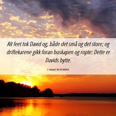 Picture 06 - 1 Samuel 30:20 NORSK - Alt feet tok David og, både det små og det - Bible Verse Picture