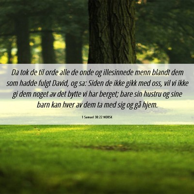 Picture 06 - 1 Samuel 30:22 NORSK - Da tok de til orde alle de onde og illesinnede - Bible Verse Picture