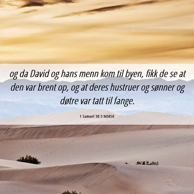 Picture 06 - 1 Samuel 30:3 NORSK - og da David og hans menn kom til byen, fikk de se - Bible Verse Picture