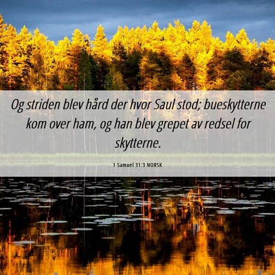 Picture 06 - 1 Samuel 31:3 NORSK - Og striden blev hård der hvor Saul stod; - Bible Verse Picture