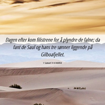 Picture 06 - 1 Samuel 31:8 NORSK - Dagen efter kom filistrene for å plyndre de - Bible Verse Picture