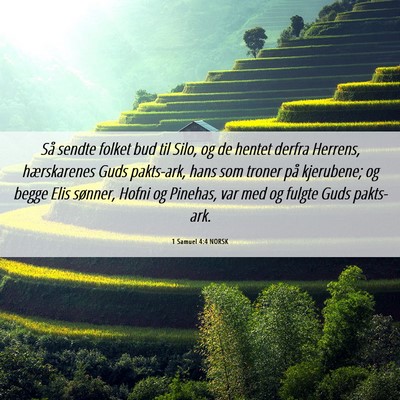 Picture 06 - 1 Samuel 4:4 NORSK - Så sendte folket bud til Silo, og de hentet - Bible Verse Picture