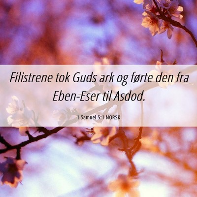 Picture 06 - 1 Samuel 5:1 NORSK - Filistrene tok Guds ark og førte den fra - Bible Verse Picture