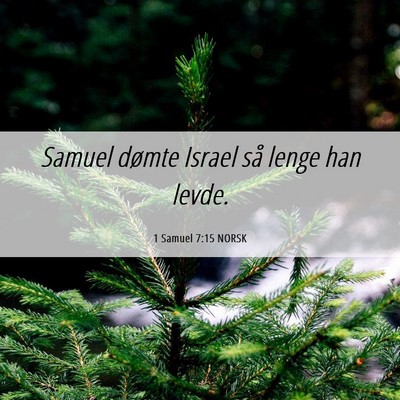 Picture 06 - 1 Samuel 7:15 NORSK - Samuel dømte Israel så lenge han - Bible Verse Picture