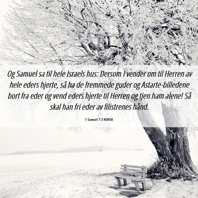 Picture 06 - 1 Samuel 7:3 NORSK - Og Samuel sa til hele Israels hus: Dersom I - Bible Verse Picture