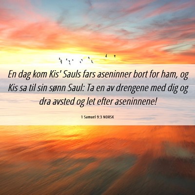 Picture 06 - 1 Samuel 9:3 NORSK - En dag kom Kis' Sauls fars aseninner bort for - Bible Verse Picture