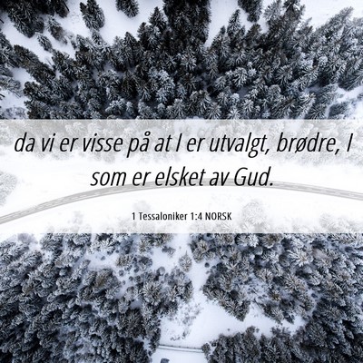Picture 06 - 1 Tessaloniker 1:4 NORSK - da vi er visse på at I er utvalgt, brødre, I - Bible Verse Picture