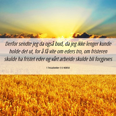 Picture 06 - 1 Tessaloniker 3:5 NORSK - Derfor sendte jeg da også bud, da jeg ikke - Bible Verse Picture