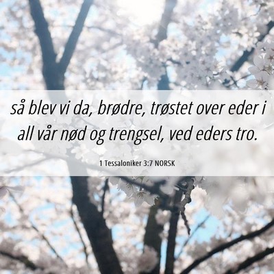 Picture 06 - 1 Tessaloniker 3:7 NORSK - så blev vi da, brødre, trøstet over eder i all - Bible Verse Picture