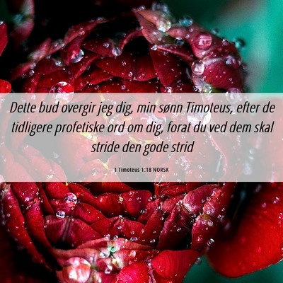 Picture 06 - 1 Timoteus 1:18 NORSK - Dette bud overgir jeg dig, min sønn Timoteus, - Bible Verse Picture