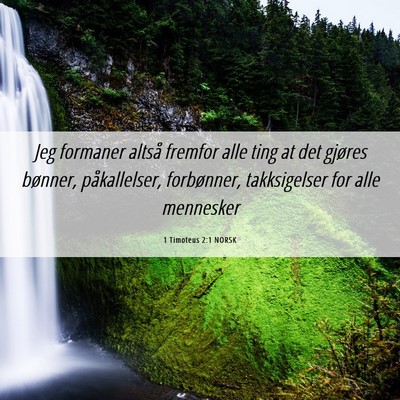 Picture 06 - 1 Timoteus 2:1 NORSK - Jeg formaner altså fremfor alle ting at det - Bible Verse Picture