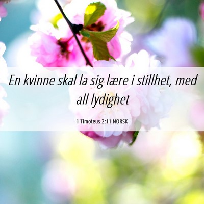 Picture 06 - 1 Timoteus 2:11 NORSK - En kvinne skal la sig lære i stillhet, med all - Bible Verse Picture