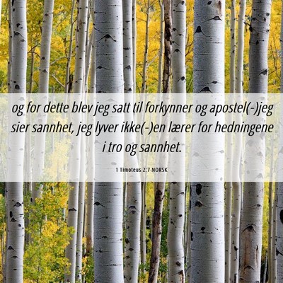 Picture 06 - 1 Timoteus 2:7 NORSK - og for dette blev jeg satt til forkynner og - Bible Verse Picture