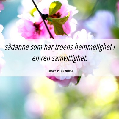 Picture 06 - 1 Timoteus 3:9 NORSK - sådanne som har troens hemmelighet i en ren - Bible Verse Picture