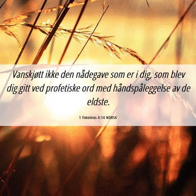 Picture 06 - 1 Timoteus 4:14 NORSK - Vanskjøtt ikke den nådegave som er i dig, som - Bible Verse Picture