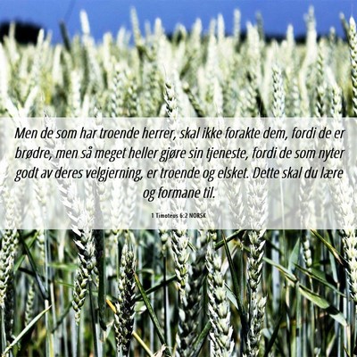 Picture 06 - 1 Timoteus 6:2 NORSK - Men de som har troende herrer, skal ikke forakte - Bible Verse Picture