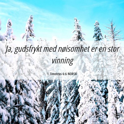 Picture 06 - 1 Timoteus 6:6 NORSK - Ja, gudsfrykt med nøisomhet er en stor - Bible Verse Picture