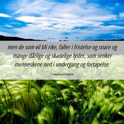 Picture 06 - 1 Timoteus 6:9 NORSK - men de som vil bli rike, faller i fristelse og - Bible Verse Picture