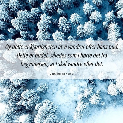 Picture 06 - 2 Johannes 1:6 NORSK - Og dette er kjærligheten at vi vandrer efter - Bible Verse Picture