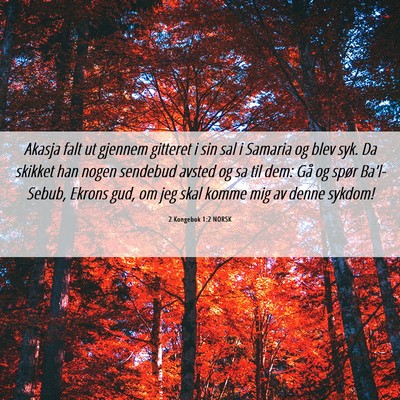 Picture 06 - 2 Kongebok 1:2 NORSK - Akasja falt ut gjennem gitteret i sin sal i - Bible Verse Picture