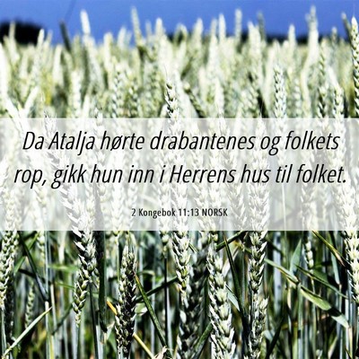 Picture 06 - 2 Kongebok 11:13 NORSK - Da Atalja hørte drabantenes og folkets rop, gikk - Bible Verse Picture