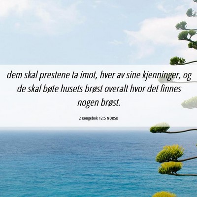 Picture 06 - 2 Kongebok 12:5 NORSK - dem skal prestene ta imot, hver av sine - Bible Verse Picture