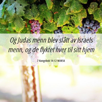 Picture 06 - 2 Kongebok 14:12 NORSK - Og Judas menn blev slått av Israels menn, og de - Bible Verse Picture