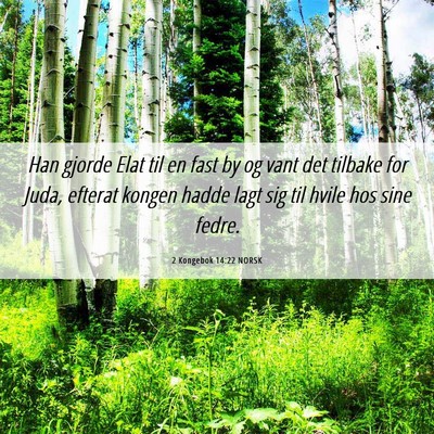 Picture 06 - 2 Kongebok 14:22 NORSK - Han gjorde Elat til en fast by og vant det - Bible Verse Picture
