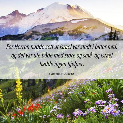 Picture 06 - 2 Kongebok 14:26 NORSK - For Herren hadde sett at Israel var stedt i - Bible Verse Picture