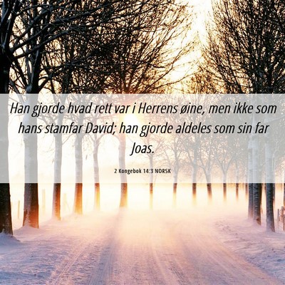 Picture 06 - 2 Kongebok 14:3 NORSK - Han gjorde hvad rett var i Herrens øine, men - Bible Verse Picture