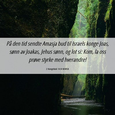 Picture 06 - 2 Kongebok 14:8 NORSK - På den tid sendte Amasja bud til Israels konge - Bible Verse Picture