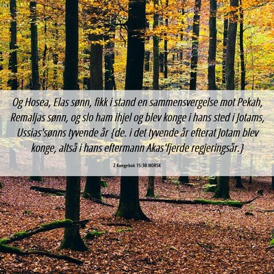 Picture 06 - 2 Kongebok 15:30 NORSK - Og Hosea, Elas sønn, fikk i stand en - Bible Verse Picture