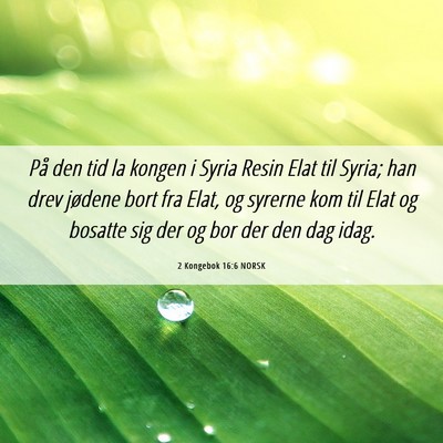 Picture 06 - 2 Kongebok 16:6 NORSK - På den tid la kongen i Syria Resin Elat til - Bible Verse Picture