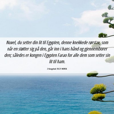 Picture 06 - 2 Kongebok 18:21 NORSK - Nuvel, du setter din lit til Egypten, denne - Bible Verse Picture
