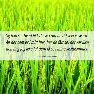 Picture 06 - 2 Kongebok 20:15 NORSK - Og han sa: Hvad fikk de se i ditt hus? Esekias - Bible Verse Picture